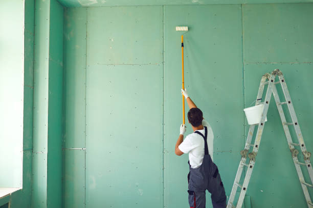 Best HVAC Mold Inspection and Cleaning  in Mayville, MI