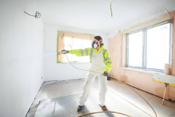  Mayville, MI Mold Removal Pros