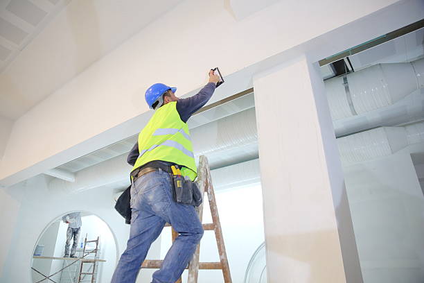 Best Basement Mold Removal  in Mayville, MI